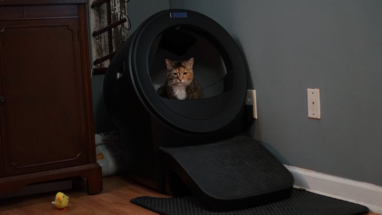 Calico cat sitting inside a black automatic litter box with a ramp, in a dimly lit room with gray walls, wooden floor, and a small cabinet nearby.